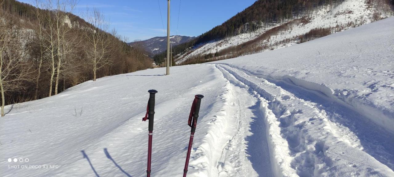 Penzion Soltis Hotel Liptovske Revuce Luaran gambar